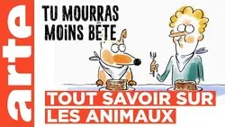 Les animaux | Compilation | Tu mourras moins bête | ARTE