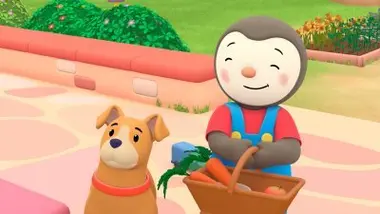 Les animaux sont fâchés