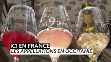 Les appellations en Occitanie