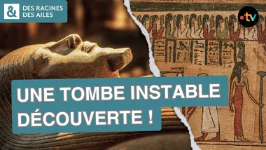 Les archéologues découvrent deux nouveaux sarcophages ! | Documentaire | France TV