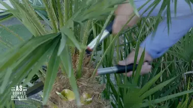 Les as des bonnes affaires : S1 E3