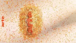 Les bébés en tiennent une couche ! ? ? | Compilation | Tu mourras moins bête | ARTE