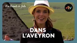 Les carnets de Julie