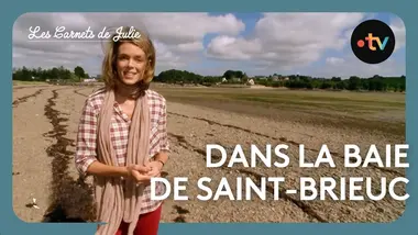 Les Carnets de Julie - La baie de Saint-Brieuc