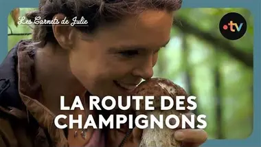 Les Carnets de Julie - La route des champignons, avec le chef Régis Marcon