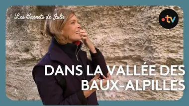 Les Carnets de Julie - La Vallée des Baux-Alpilles