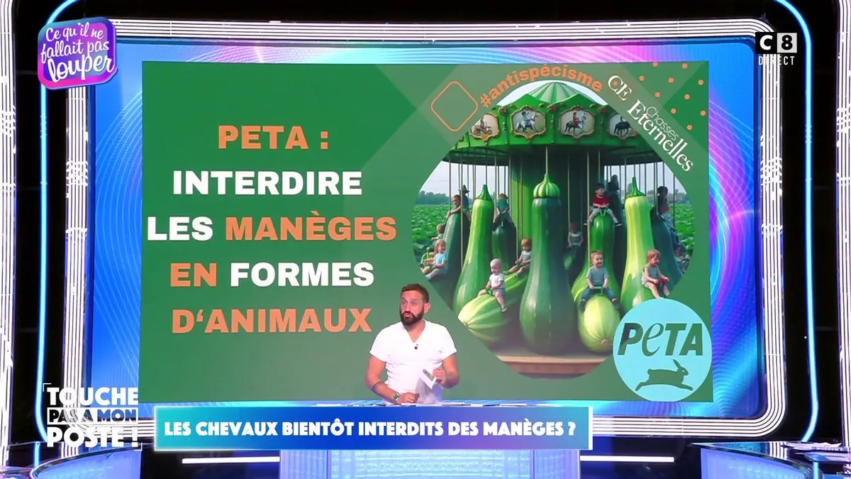 replay de Les chevaux bientôt interdits des manèges ?