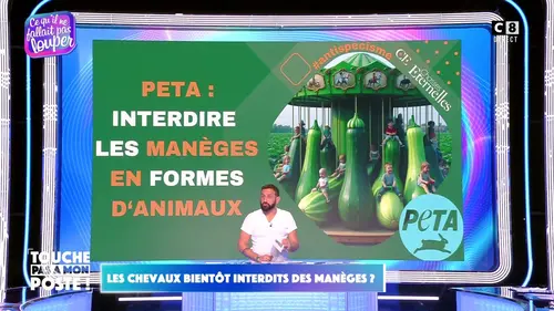 replay de Les chevaux bientôt interdits des manèges ?