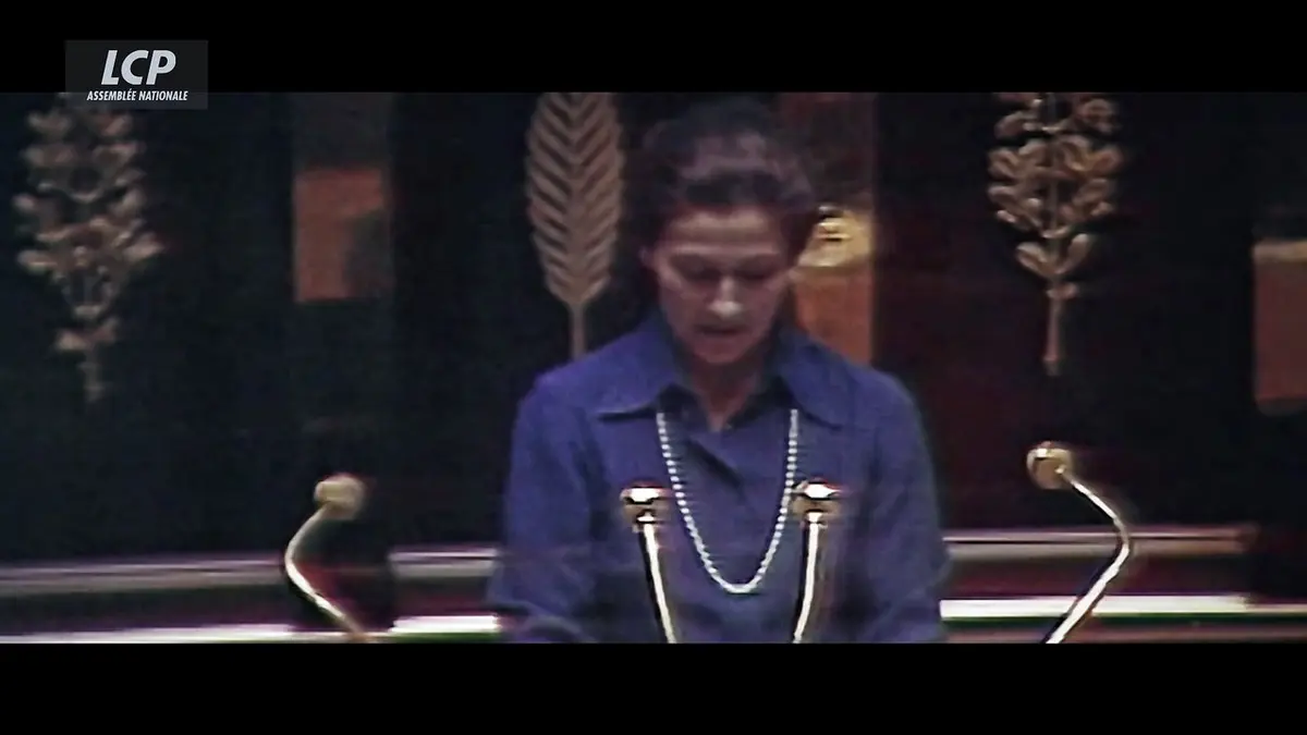 replay de Les combats méconnus de Simone Veil