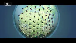 Les conquistadors de l'espace