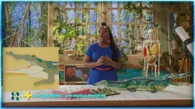Les crocodiles : une espèce menacée