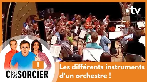 replay de Les différents instruments d'un orchestre ! - C'est pas sorcier [Intégrale]