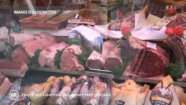 Les docs du week-end - Police des assiettes : des agents très spéciaux