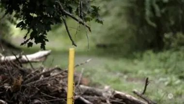 Les dossiers Cold Case - S02 E16 - Meurtre au clair de lune