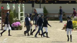 Les élites en action