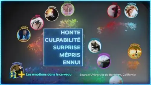 C'est toujours pas sorcier + S03E09 Les émotions dans le cerveau