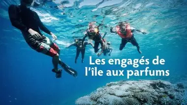 Les engagés de l'île aux parfums