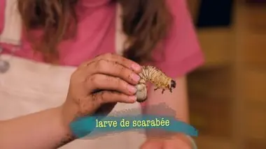 Les excréments