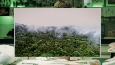 Les forêts de nuages