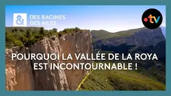 Les Gorges du Verdon et la vallée de la Roya sont incontournables ! - Des Racines et des Ailes