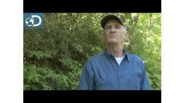 Les histoires de Jim Tom : Alcool de contrebande