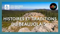Les histoires et les traditions du Beaujolais ! - Des Racines et Des Ailes