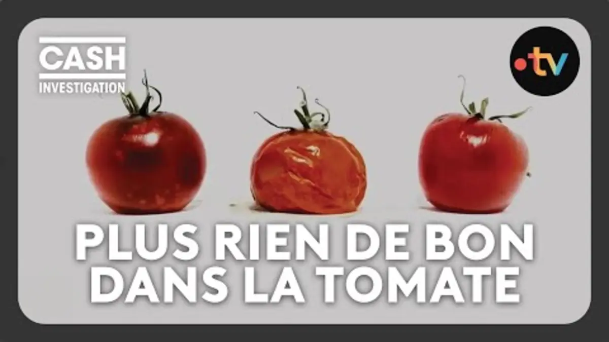 replay de Les industriels ont-ils tué la tomate ? - Cash investigation