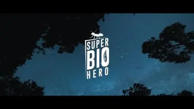 Les insectes, tout un petit monde !