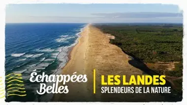 Les Landes, splendeurs de la nature