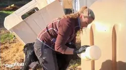 Les mamans : S2 E30 - La visite au zoo