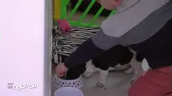 Les mamans : S2 E71 - Se sentir bien chez soi