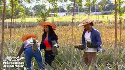 Les Marseillais : S8 E21 - Et pour les problèmes allez allez !