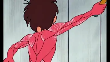 Les muscles et la graisse