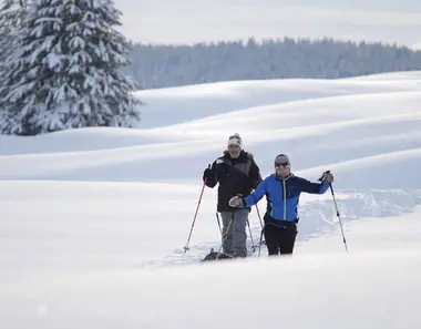 Les nouveaux nomades