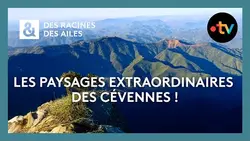 Les paysages extraordinaires des Cévennes ! - Des racines et des ailes