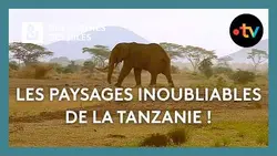 Les paysages inoubliables de la Tanzanie ! - Des Racines et Des Ailes