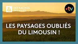Les paysages oubliés du Limousin ! - Des racines et des ailes
