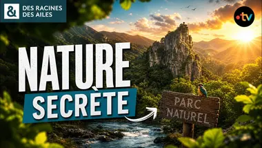 Les paysages oubliés et la vie cachée d’un parc naturel ! | Documentaire | France TV