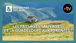 Les paysages sauvages de la Guadeloupe aux Pyrénées ! - Des racines et des ailes