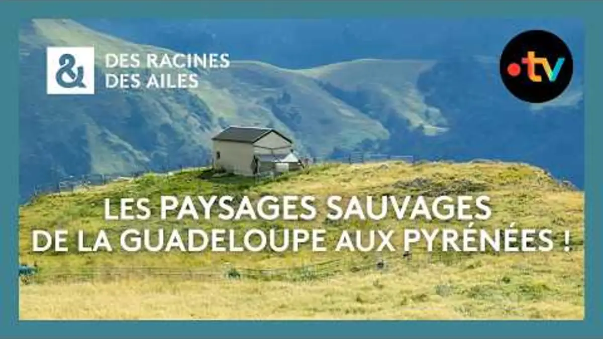 replay de Les paysages sauvages de la Guadeloupe aux Pyrénées ! - Des racines et des ailes