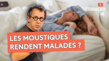 Les piqûres de moustique peuvent vous tuer ? - C'est pas sorcier