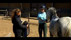 Les poneys grandissent