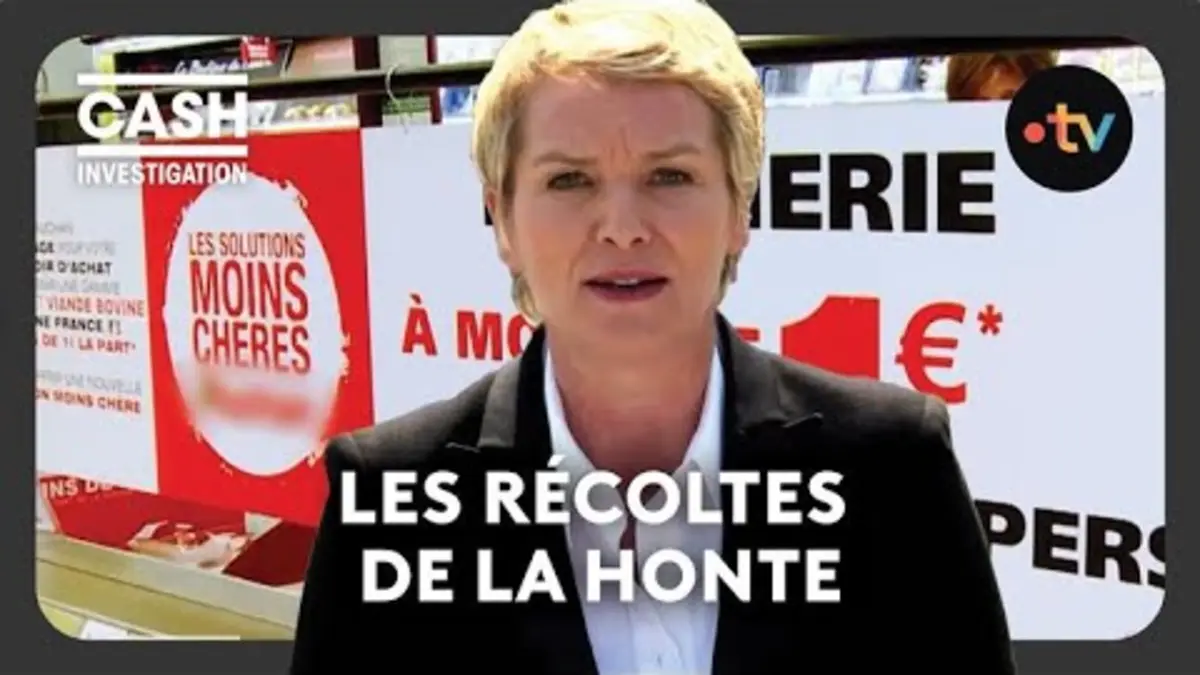 replay de Les récoltes de la honte - Cash investigation