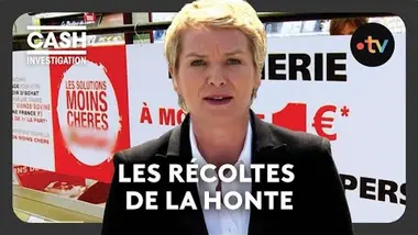 Les récoltes de la honte - Cash investigation