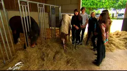 Au galop ! Les retrouvailles