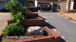 Les rois de la réno : S6 E1 - La rénovation des tous ses états
