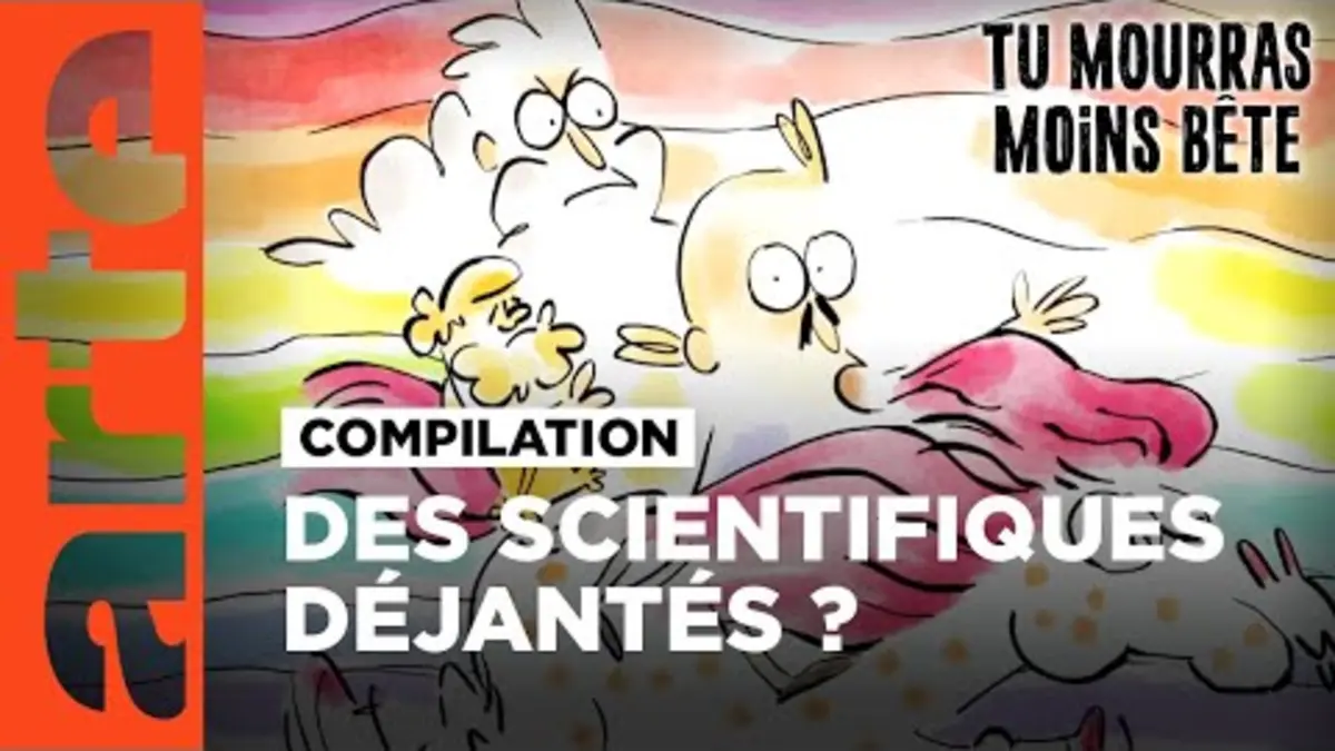 replay de Les scientifiques déjantés (partie 1) | Compilation | Tu mourras moins bête | ARTE