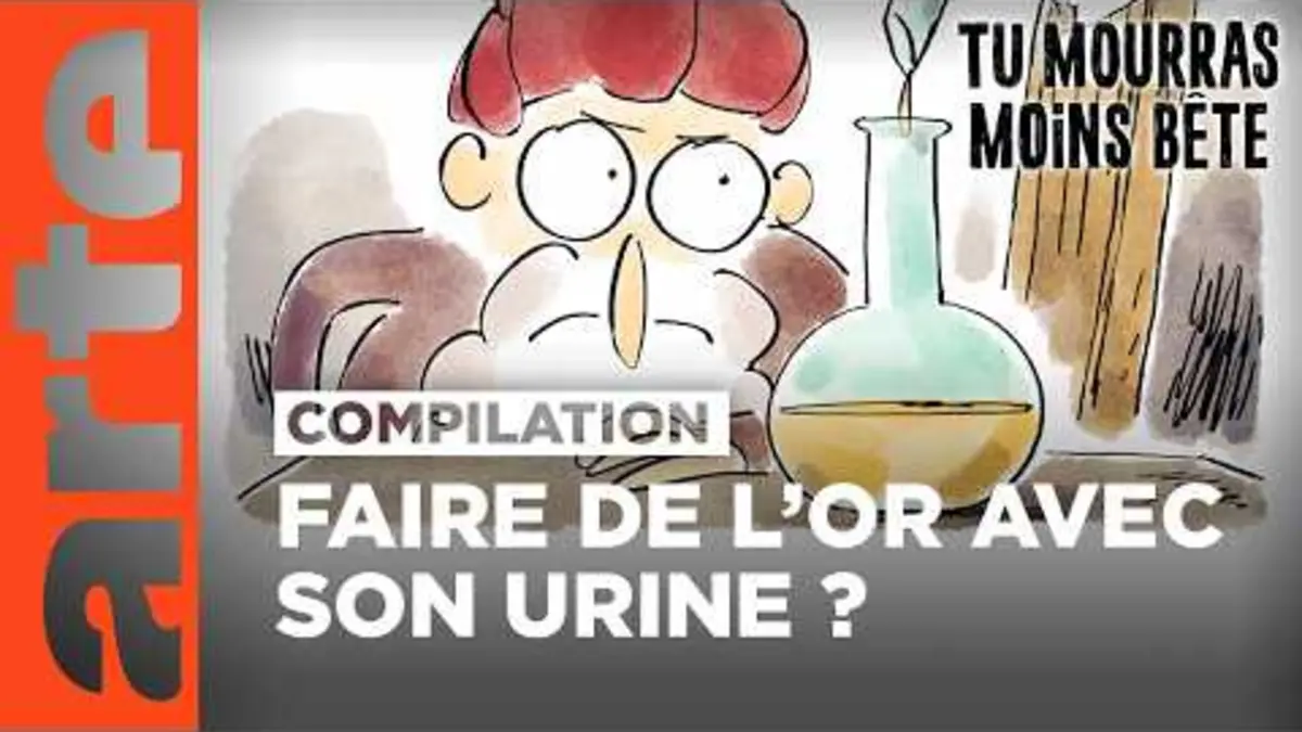 replay de Les scientifiques déjantés (partie 2) | Compilation | Tu mourras moins bête | ARTE