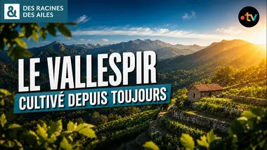 Les secrets des agriculteurs du Vallespir ! | Documentaire | France TV