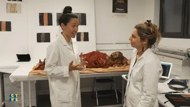 Les secrets des momies